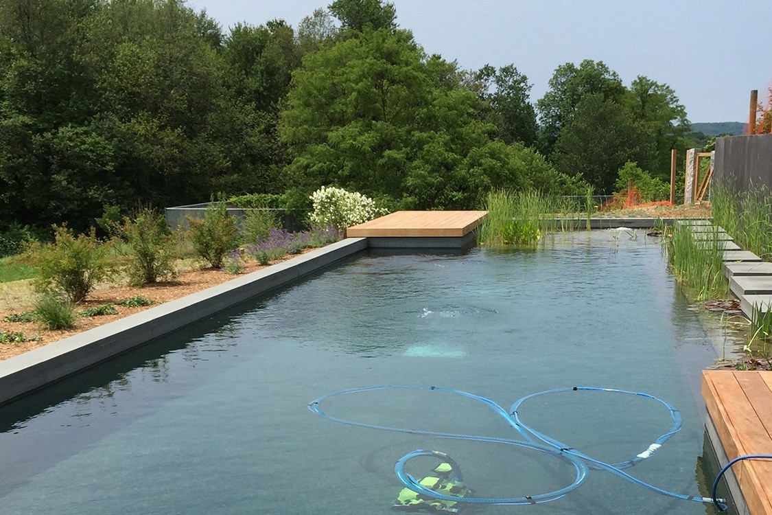 natural pool and garden have become a unity